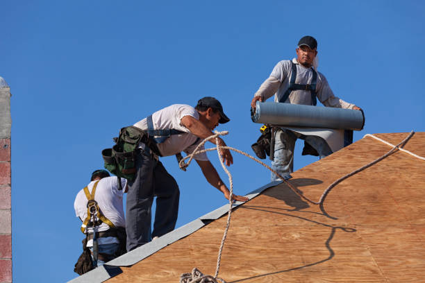 Best Roof Waterproofing Services  in Rinna, VA